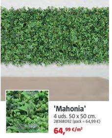 Oferta de 'Mahonia' por 64,99€ en BAUHAUS
