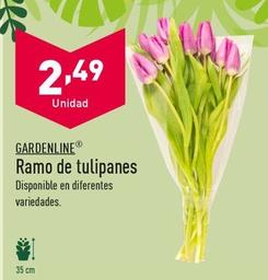 Oferta de Gardenline - Ramo De Tulipanes por 2,49€ en ALDI