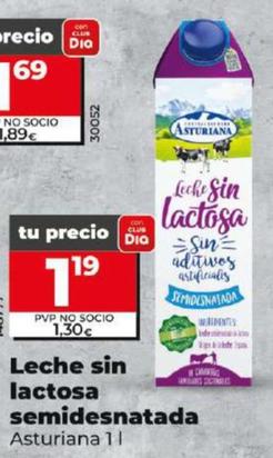 Oferta de Asturiana - Leche Sin Lactosa Semidesnatada por 1,19€ en Dia