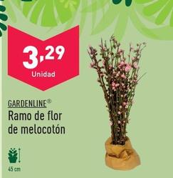 Oferta de Gardenline - Ramo De Flor De Melocotón por 3,29€ en ALDI