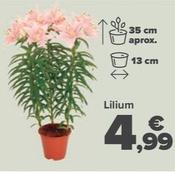 Oferta de Lilium por 4,99€ en Carrefour