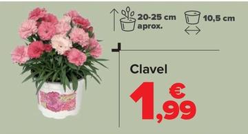 Oferta de Clavel por 1,99€ en Carrefour