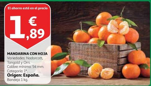 Oferta de Alcampo - Mandarina Con Hoja por 1,89€ en Alcampo