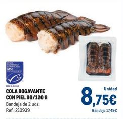 Oferta de Cola Bogavante Con Piel 90/120 G por 8,75€ en Makro