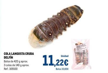 Oferta de Delfín - Cola Langosta Cruda por 11,22€ en Makro