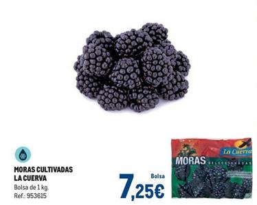 Oferta de La Cuerva - Moras Cultivadas por 7,25€ en Makro