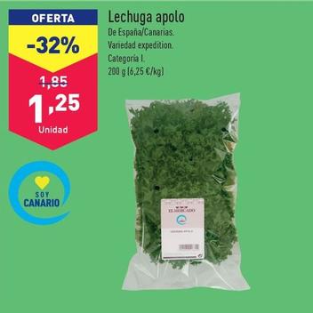 Oferta de Lechuga Apolo por 1,25€ en ALDI