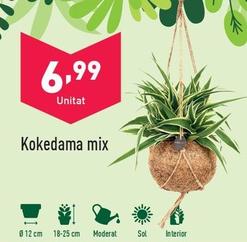 Oferta de Kokodama Mix por 6,99€ en ALDI