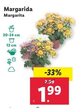 Oferta de Margarita por 1,99€ en Lidl