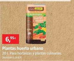 Oferta de Plantas Huerto Urbano por 6,95€ en BAUHAUS