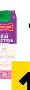 Oferta de Pascual - Leche Entera Semi O Desnatada Sin Lactosa por 1,25€ en Carrefour