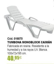 Oferta de Tumbona Monoblock Caimán por 40,95€ en YMÁS