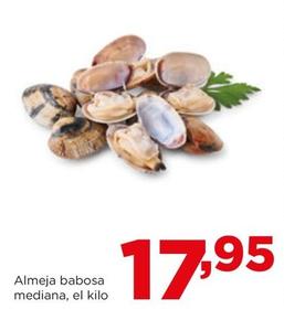 Oferta de Almeja Babosa Mediana por 17,95€ en Alimerka
