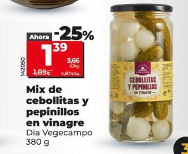Oferta de Dia Vegecampo - Mix De Cebollitas Y Pepinillos En Vinagre por 1,39€ en Dia