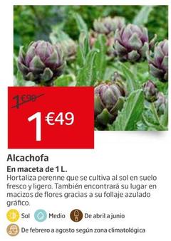 Oferta de Alcachofa por 1,49€ en Jardiland