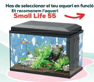 Oferta de Small Life - Et Recomanem L'aquari en Kiwoko