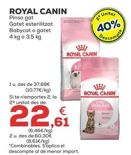 Oferta de Royal Canin - Pinso Gat Gatet Esterilitzat Babycat O Gatet por 37,69€ en Kiwoko