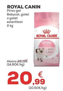 Oferta de Royal Canin - Pinso Gat Babycat, Gatet O Gatet Esterilitzat por 20,99€ en Kiwoko