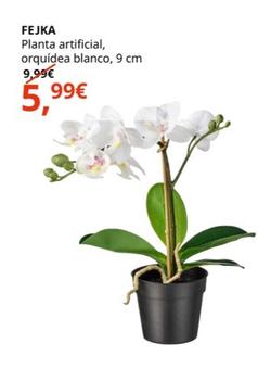 Oferta de Fejka - Planta Artificial, Orquídea Blanco, 9 Cm por 5,99€ en IKEA