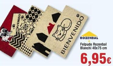 Oferta de Rozenbal - Felpudo Blanchi 40x75 Cm por 6,95€ en Froiz