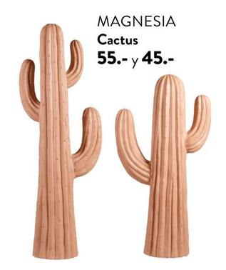 Oferta de Magnesia - Cactus por 45€ en Casa