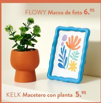 Oferta de Kelk Macetero Con Planta por 5,95€ en Casa