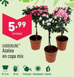 Oferta de Gardenline - Penta por 2,99€ en ALDI
