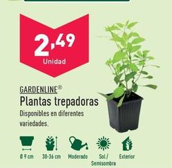 Oferta de Gardenline - Vinca por 1,59€ en ALDI