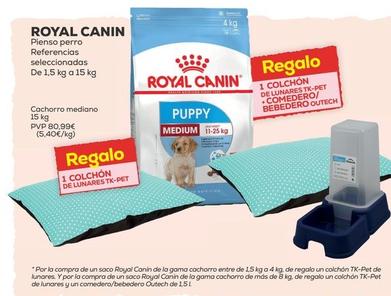 Oferta de Royal Canin - Pienso Perro por 80,99€ en Kiwoko