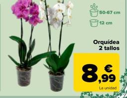 Oferta de Orquídea 2 Tallos por 8,99€ en Carrefour