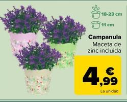 Oferta de Campanula por 4,99€ en Carrefour