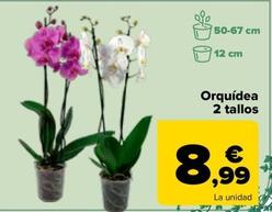 Oferta de Orquídea 2 Tallos por 8,99€ en Carrefour