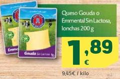 Oferta de Castillo De Holanda - Queso Gouda O Emmental Sin Lactosa, Lonchas por 1,89€ en HiperDino