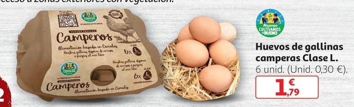 Oferta de Camperos - Huevos De Gallinas Camperas Clase L por 1,79€ en Alcampo