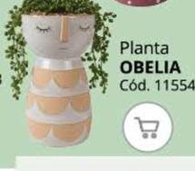 Oferta de Planta Obelia en Conforama