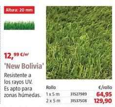 Oferta de 'New Bolivia' por 12,99€ en BAUHAUS