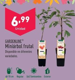 Oferta de Gardenline - Miniarbol Frutal por 6,99€ en ALDI