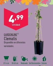 Oferta de Gardenline - Clematis por 4,99€ en ALDI