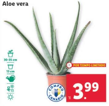 Oferta de Aloe Vera por 3,99€ en Lidl
