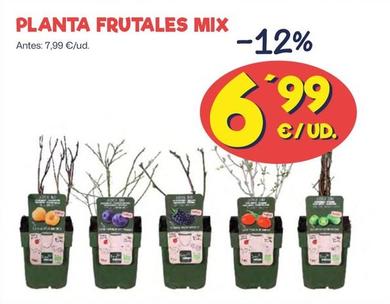 Oferta de Planta Frutales Mix por 6,99€ en Ahorramas