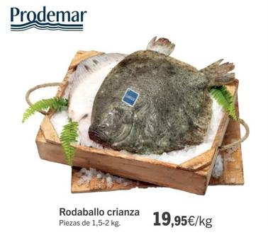 Oferta de Rodaballo por 19,95€ en Supermercados Sánchez Romero