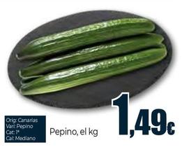 Oferta de Pepino por 1,49€ en Unide Supermercados