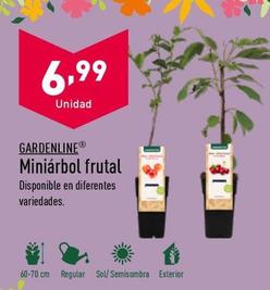 Oferta de Plantas por 6,99€ en ALDI