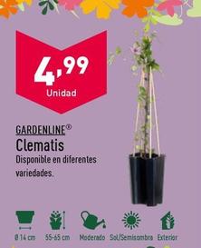 Oferta de Plantas por 4,99€ en ALDI