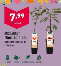 Oferta de Plantas por 7,99€ en ALDI