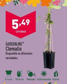 Oferta de Plantas por 5,49€ en ALDI