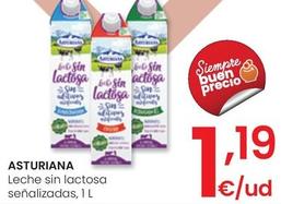 Oferta de Asturiana - Leche Sin Lactosa por 1,19€ en Eroski
