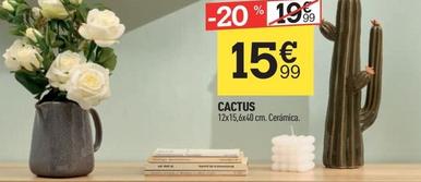 Oferta de Cactus por 15,99€ en Centrakor