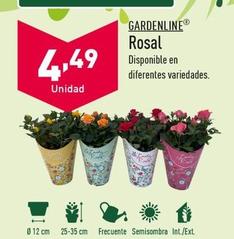 Oferta de Gardenline - Rosal por 4,49€ en ALDI