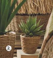 Oferta de Bon Preu - Plantas Artificial Aloe por 13,95€ en BonpreuEsclat